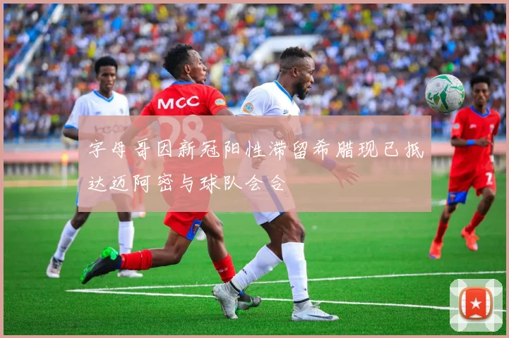 字母哥因新冠阳性滞留希腊现已抵达迈阿密与球队会合