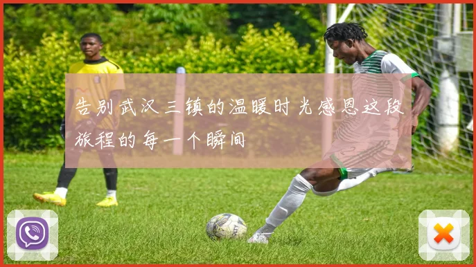 告别武汉三镇的温暖时光感恩这段旅程的每一个瞬间