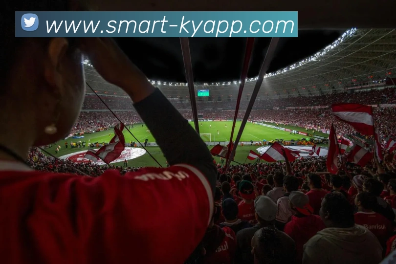 开云体育APP 封面图